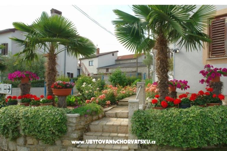 Apartments Milokanović – photo 4