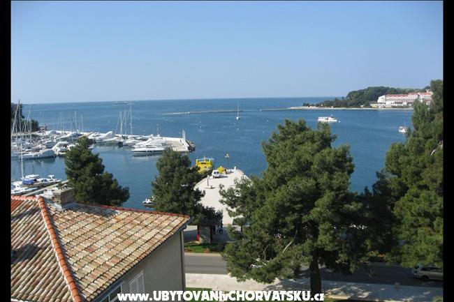 Apartment Nina  – photo 3