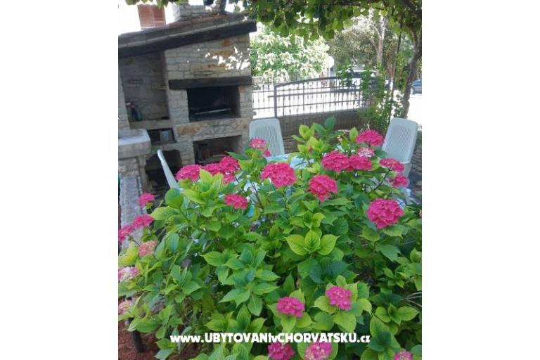 Apartments Mara – photo 9