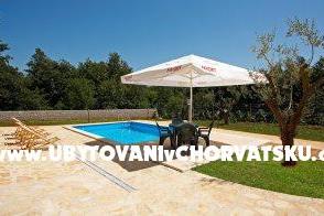House Davido – photo 2