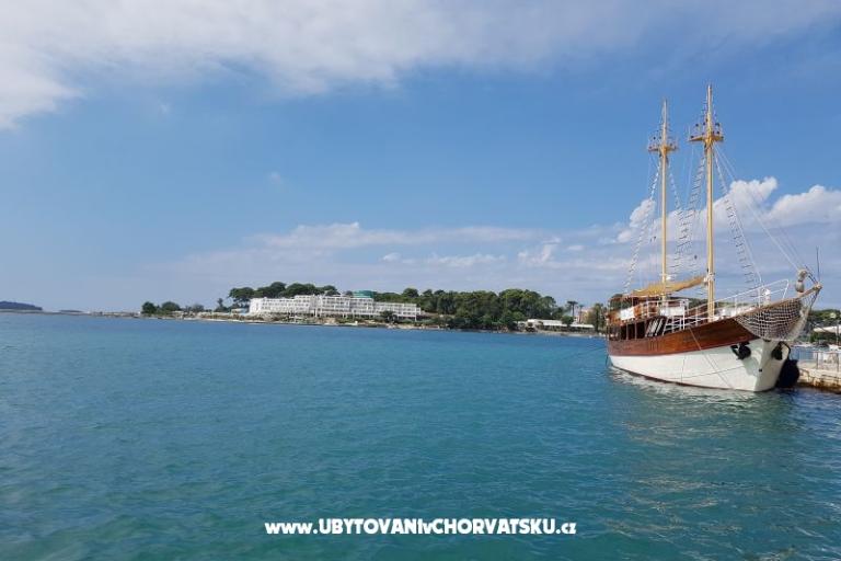 San Marko – photo 16