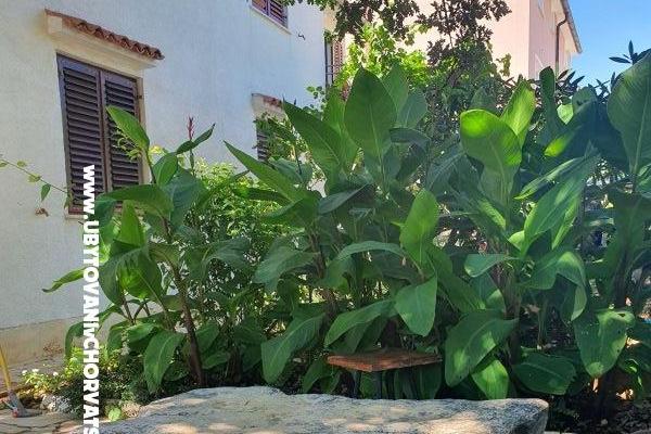 Apartments Kero – photo 11