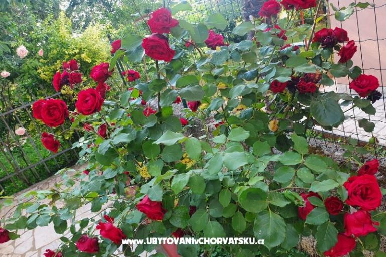 Apartments Kero – photo 15