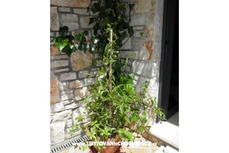 Nina A2+1 – photo 16