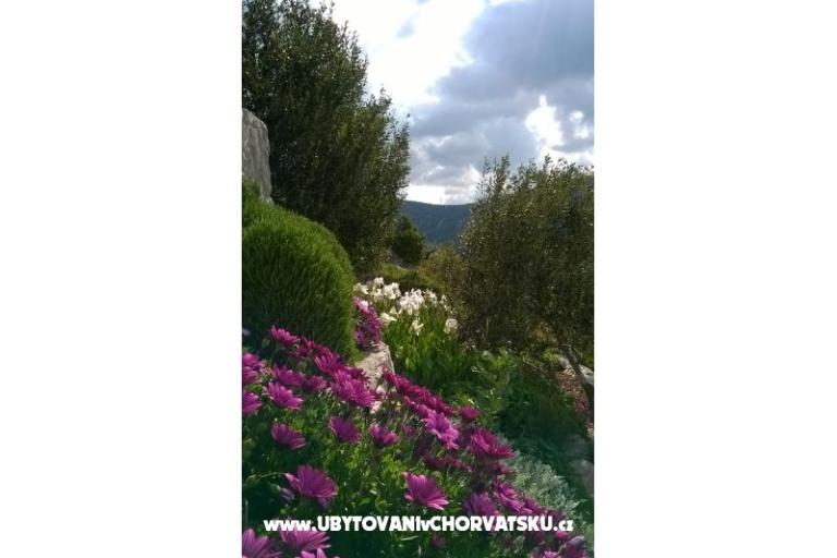 Apartments   Luka – photo 11