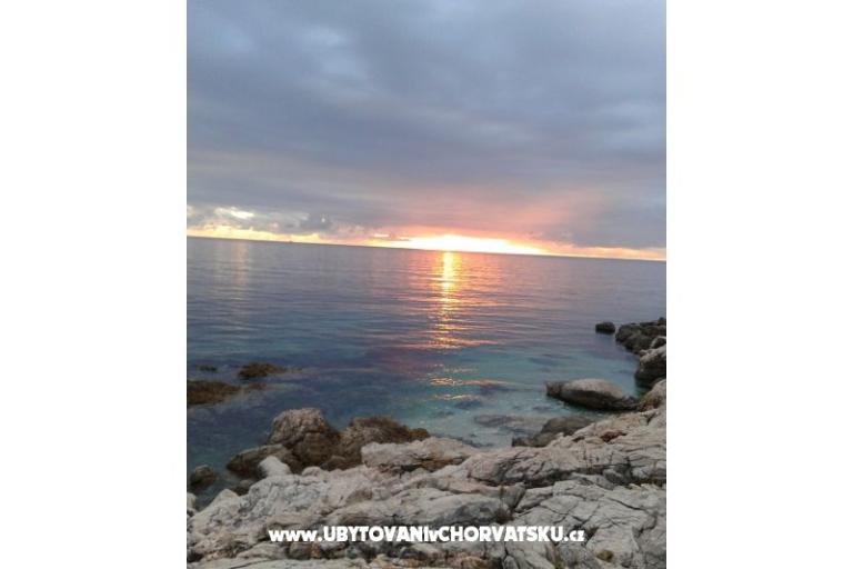 Apartments   Luka – photo 4