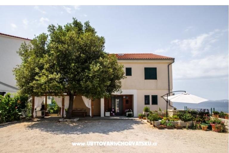 Apartments Andreja – photo 2