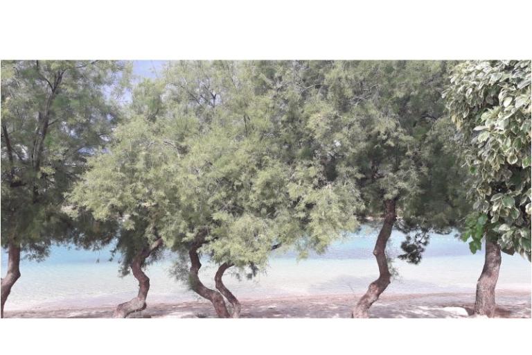 Apartments Natalija i Ante – photo 10