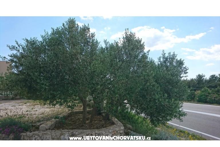 Apartments Kocka  – photo 10