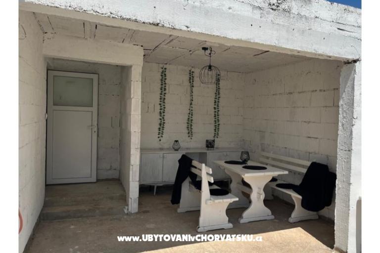 Olive grove – photo 10