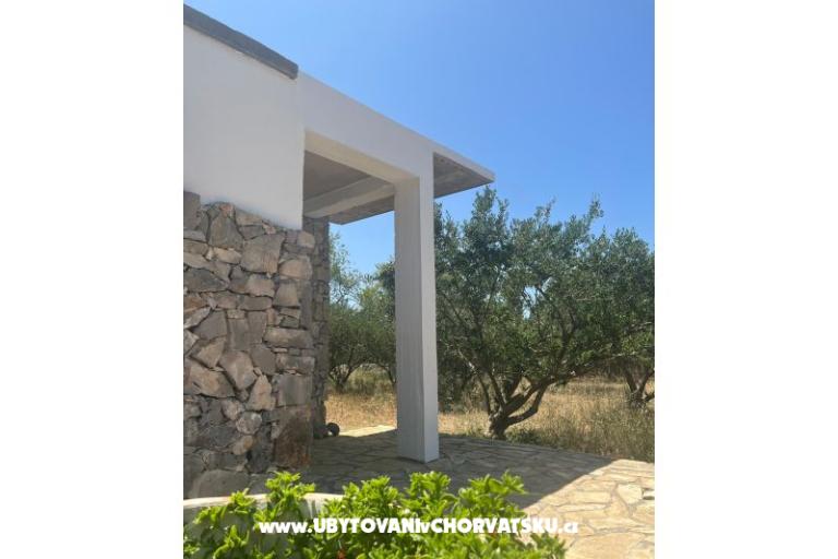 Olive grove – photo 11