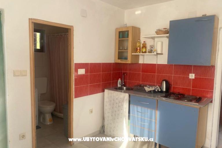 Olive grove – photo 12