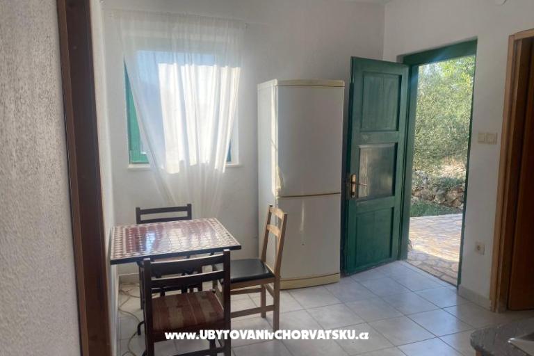 Olive grove – photo 13