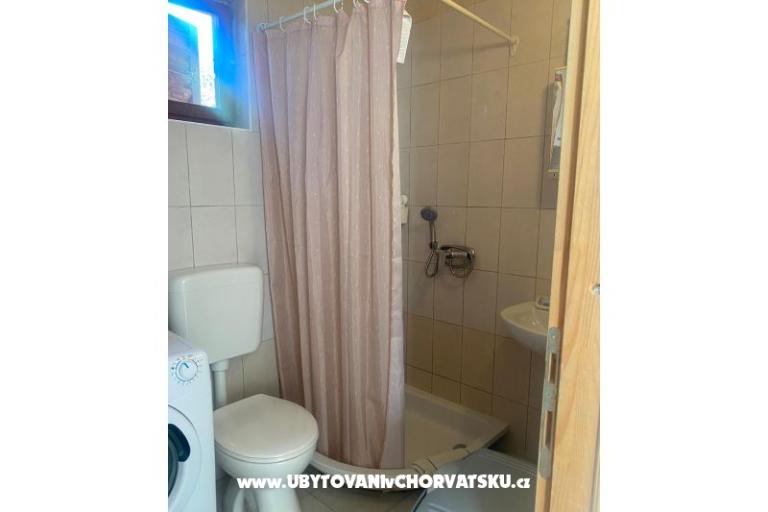 Olive grove – photo 14