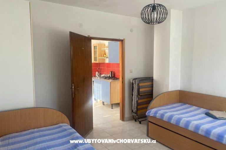 Olive grove – photo 15