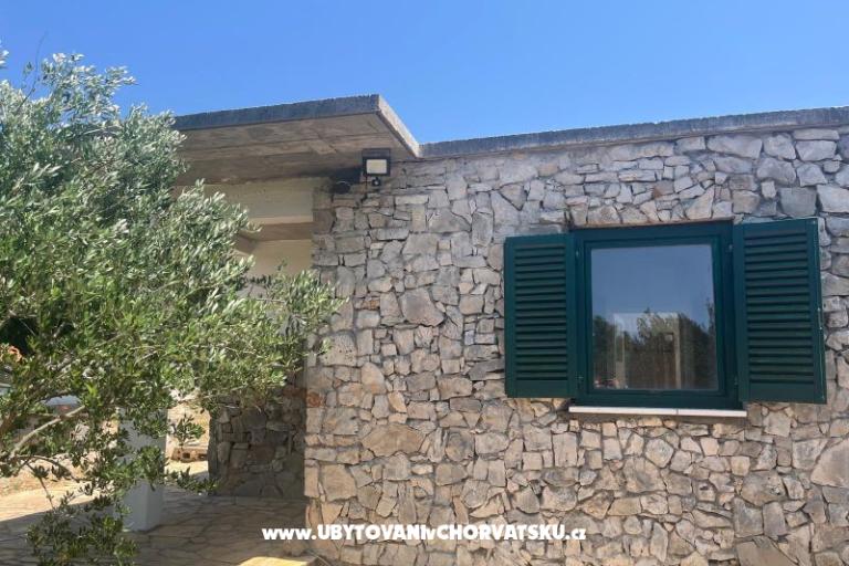 Olive grove – photo 2