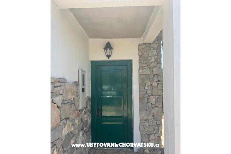 Olive grove – photo 5