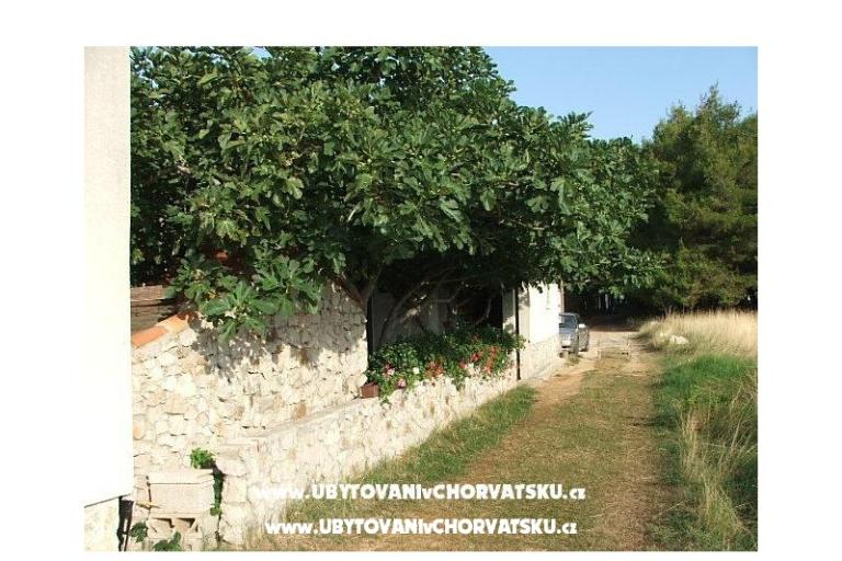 Anna Maria apartman – photo 2