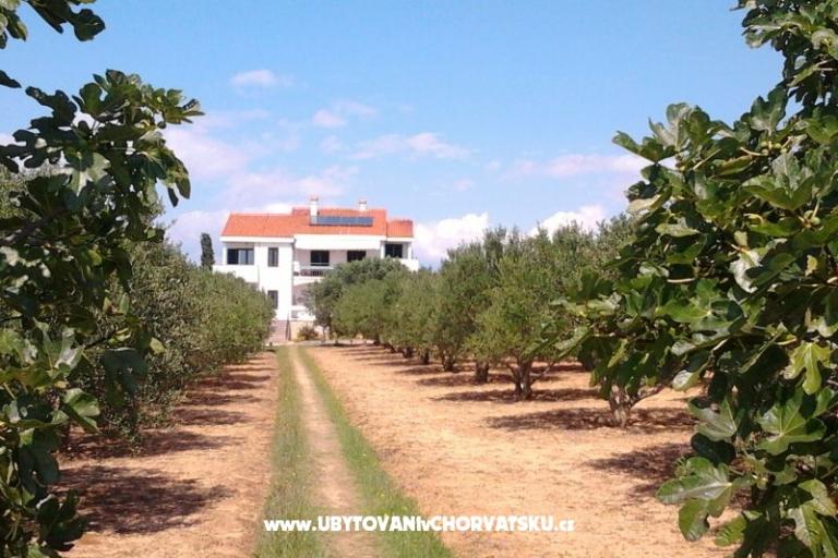 Apartments Vesna a Ante – photo 10