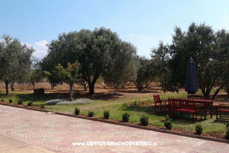 Apartments Vesna a Ante – photo 11