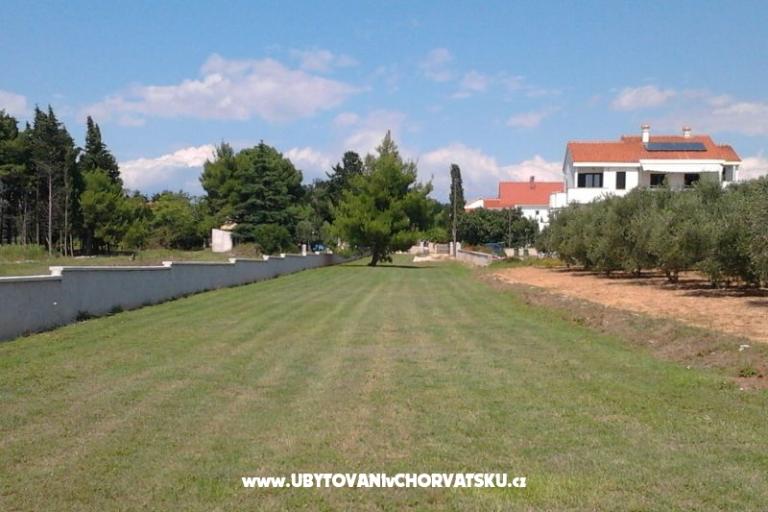 Apartments Vesna a Ante – photo 9
