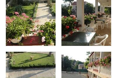 Apartments Ankica – photo 5