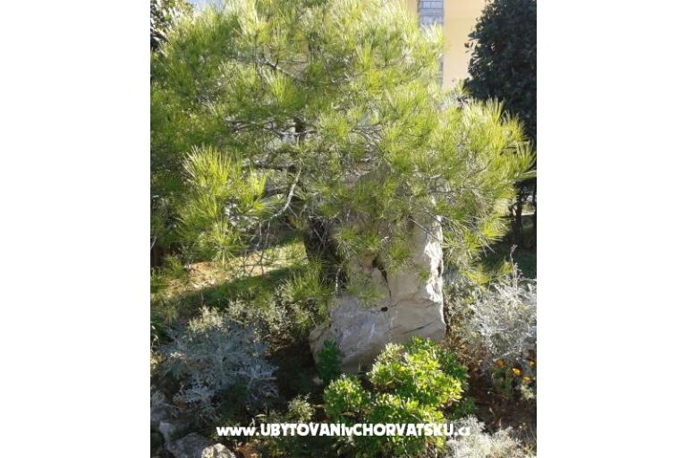 Apartments Mare & Berto – photo 4