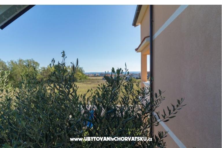 Apartments Divino – photo 10