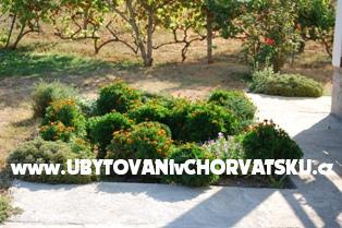Apartments Ivan – photo 16