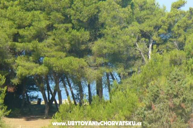  Apartmenti Julieta  – photo 13