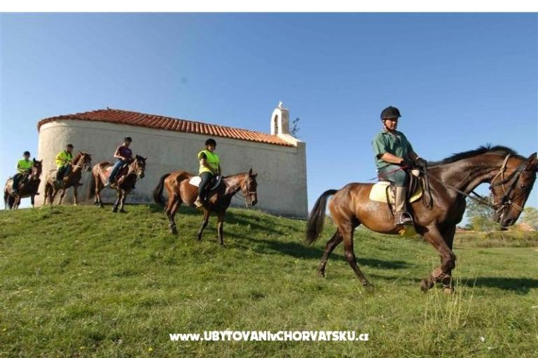  Apartmenti Julieta  – photo 4