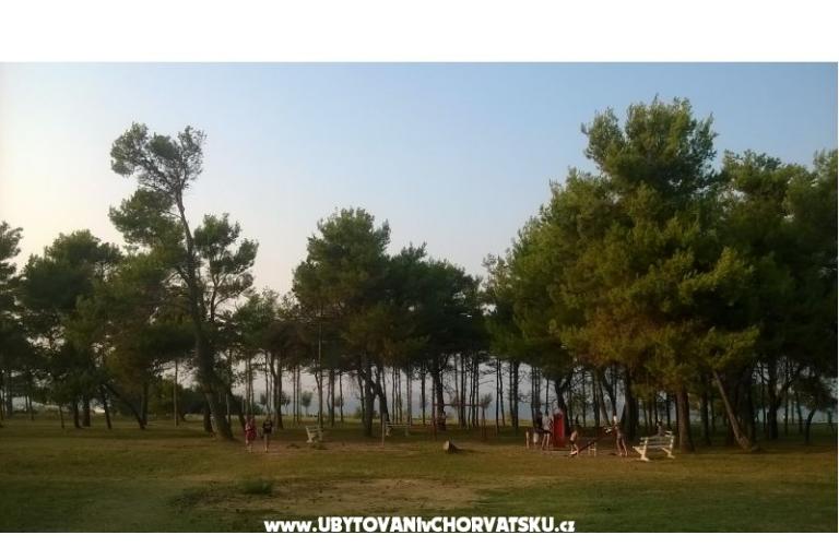 Apartments Kralj – photo 9