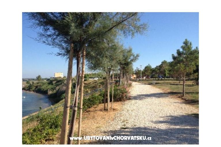 Apartments Mira – photo 4