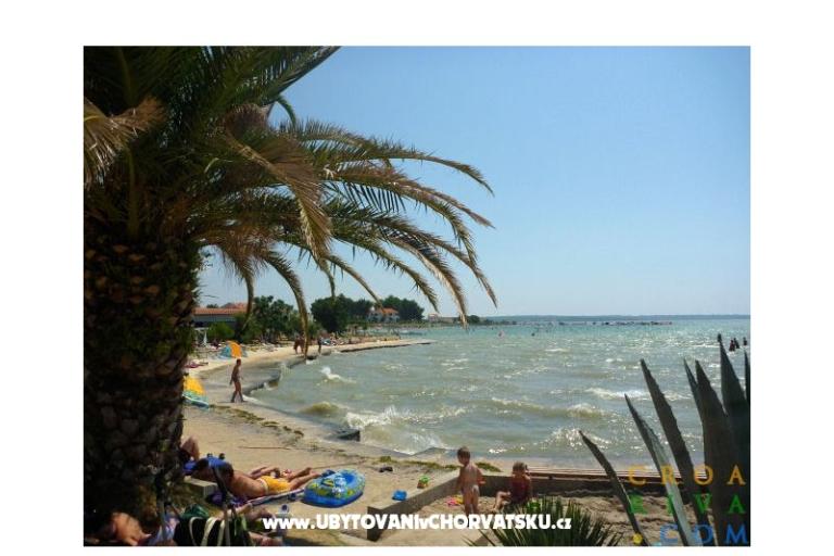 Apartments IvaMar – photo 10