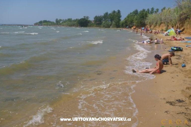 Apartments IvaMar – photo 2