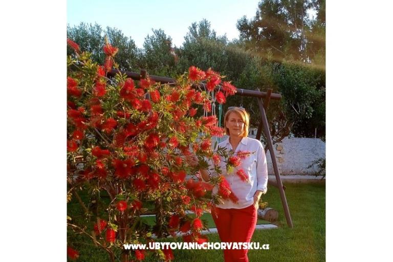 Apartments Lantana – photo 16