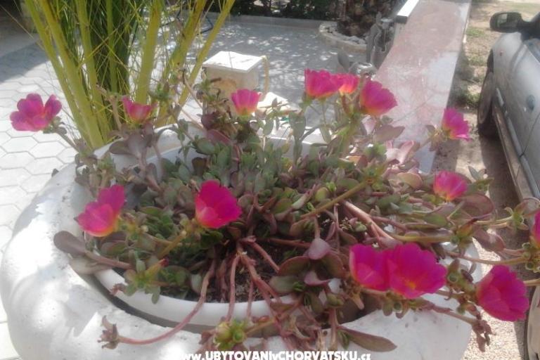 Apartments Tiffany – photo 8