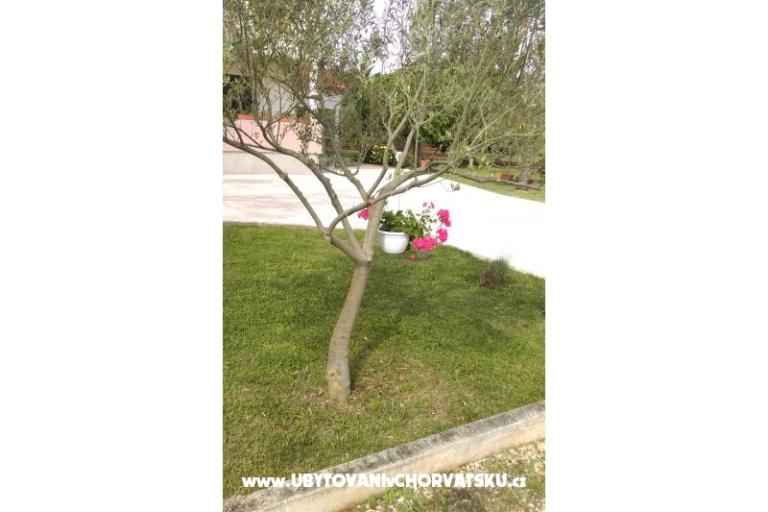 Apartments Tomi – photo 12