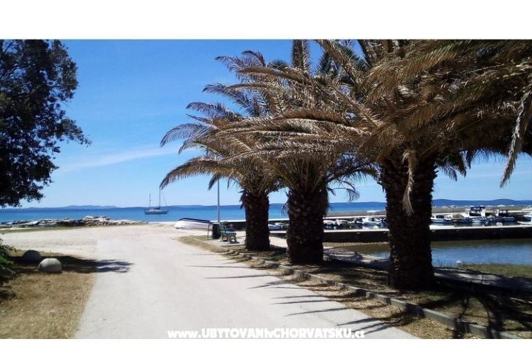 Apartments Tomi – photo 4