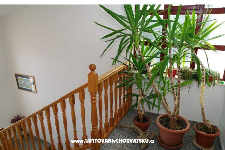 Apartments Mario – photo 9