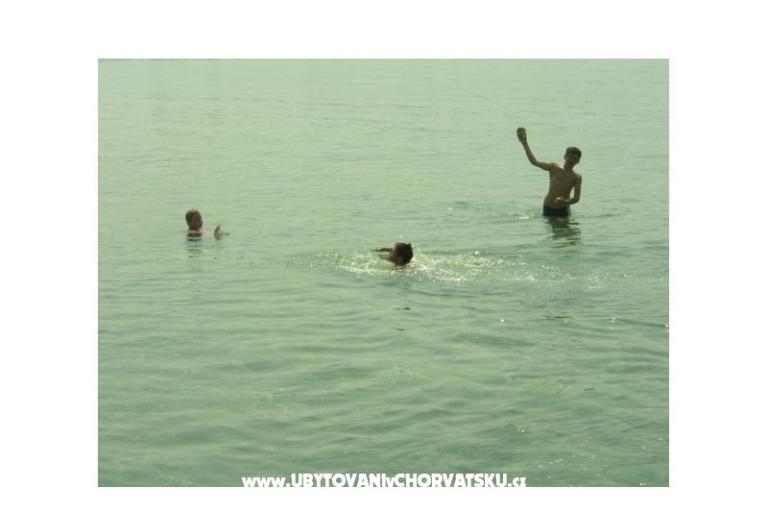 Apartments Villa Goga  – photo 11