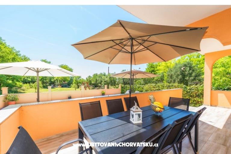 Apartments  Nelly – photo 13