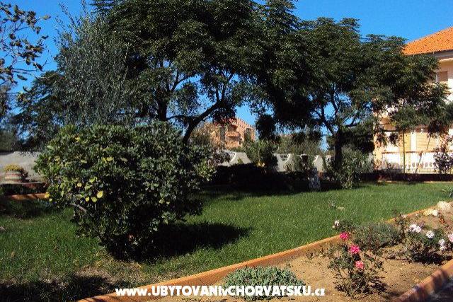 Apartments Barbara – photo 2