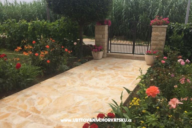 Apartments Lolo – photo 14