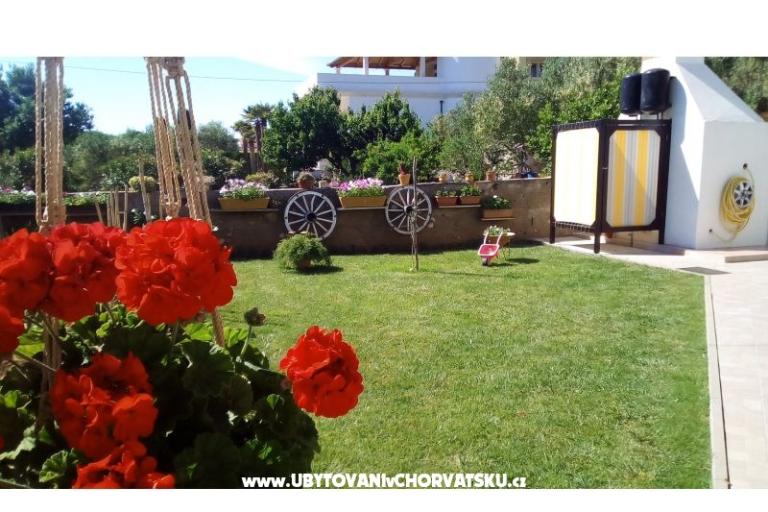 Apartments Loznica – photo 7