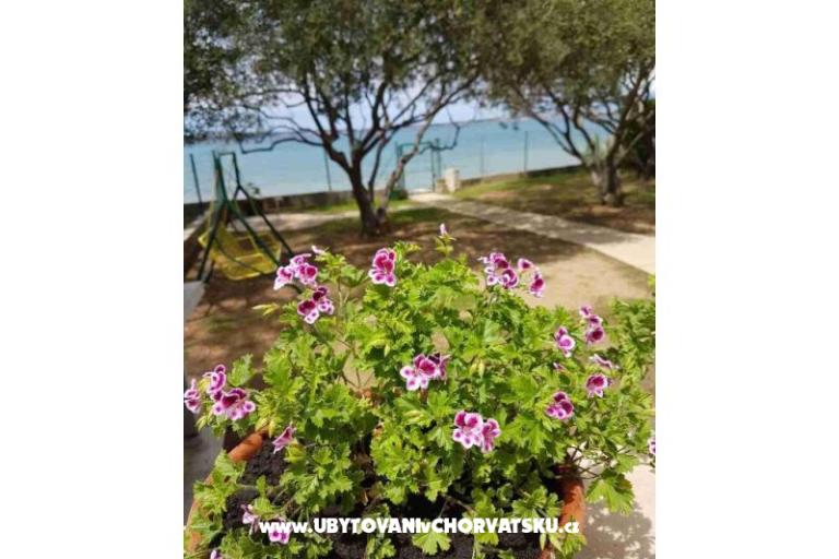 Holiday Home Skoblar – photo 16