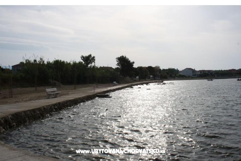 House Rose – photo 17