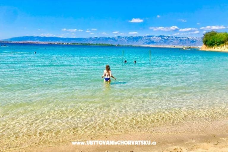 Villa Bianca - swimming pool – photo 14