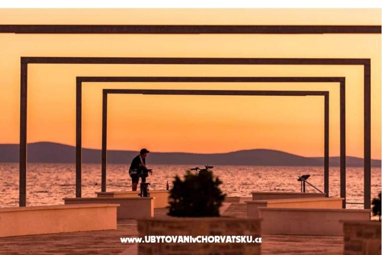 Villa Bianca - swimming pool – photo 15