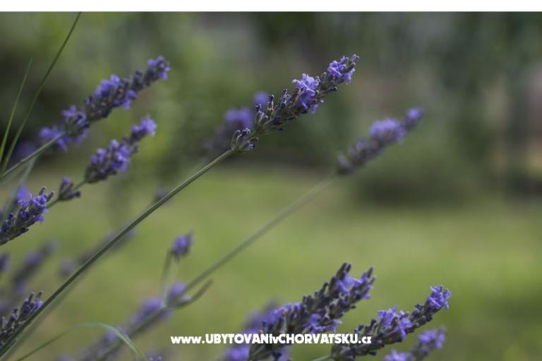 Apartment Lu&amp;Li – photo 18